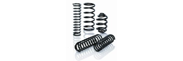 Chassis spring