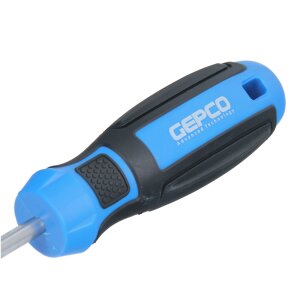 GEPCO Tournevis Set de 2 pièces fente 6 mm et PH2 100 mm de long