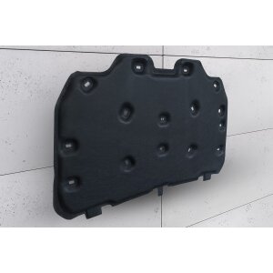 GEPCO Motorhaubendämmung Dämmmatte für FORD FUSION MK2 II 2016-2020 FACELIFTING