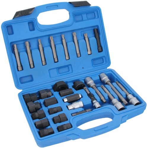 30pc Alternator Freewheel Pulley Removal Remover Repair Socket Bit Service Tool