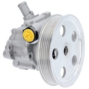 idraulicoe ServoPompa Pompa Audi A4 AVANT 8E0145153D Rippenanzahl 6 132 mm