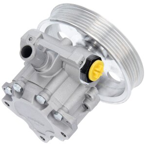 idraulicoe ServoPompa Pompa Audi A4 AVANT 8E0145153D Rippenanzahl 6 132 mm