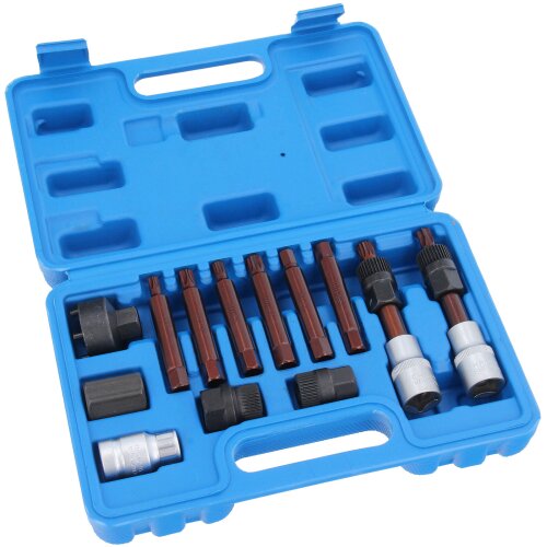 ABZIEHER GENERATOR RIEMENSCHEIBE ARRETIER-WERKZEUG LICHTMASCHINE FREILAUF 13pcs.