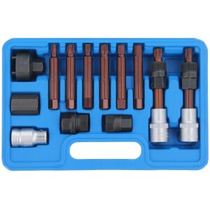 ABZIEHER GENERATOR RIEMENSCHEIBE ARRETIER-WERKZEUG LICHTMASCHINE FREILAUF 13pcs.