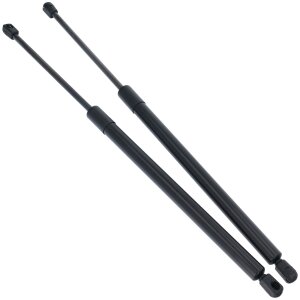 2x Gas Tailgate Boot Struts Supports Trunk Rear for BMW 5...