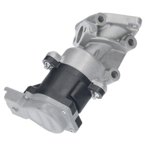 AGR VENTIL für CITROEN C5 C6 Jaguar S Type XJ Land Rover Discovery III 2.7 D