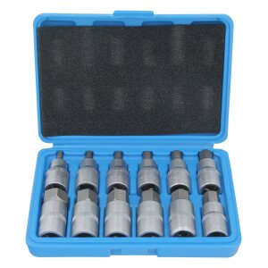 GEPCO Set di bussole 5-22 mm esagonali maschio inserti...