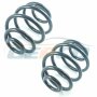 SET 2x FEDER FAHRWERKSFEDER tylOpel Astra F Vauxhall 9000705 Links + Rechts